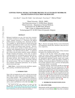 Convolutional Neural Network Pruning to Accelerate Membrane Segmentation
  in Electron Microscopy
