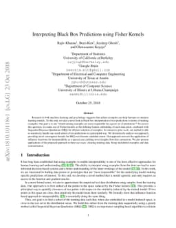 Interpreting Black Box Predictions using Fisher Kernels