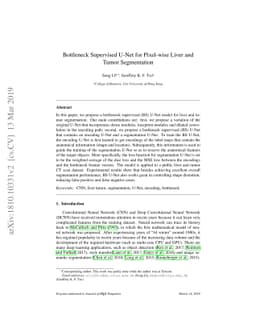 Bottleneck Supervised U-Net for Pixel-wise Liver and Tumor Segmentation