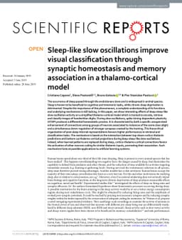 Sleep-like slow oscillations improve visual classification through
  synaptic homeostasis and memory association in a thalamo-cortical model