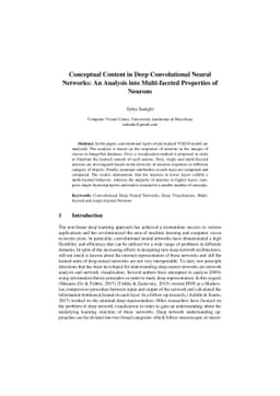 Conceptual Content in Deep Convolutional Neural Networks: An analysis
  into multi-faceted properties of neurons