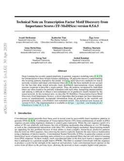 Technical Note on Transcription Factor Motif Discovery from Importance
  Scores (TF-MoDISco) version 0.5.6.5