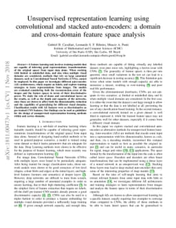 Unsupervised representation learning using convolutional and stacked
  auto-encoders: a domain and cross-domain feature space analysis