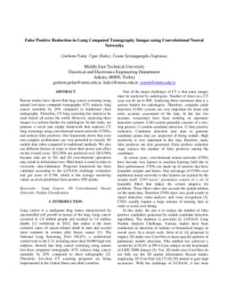 False Positive Reduction in Lung Computed Tomography Images using
  Convolutional Neural Networks