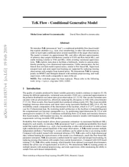 TzK Flow - Conditional Generative Model