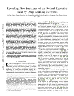 Revealing Fine Structures of the Retinal Receptive Field by Deep
  Learning Networks