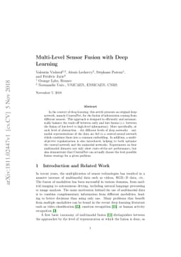 Multi-Level Sensor Fusion with Deep Learning