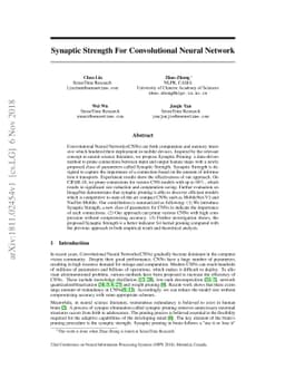 Synaptic Strength For Convolutional Neural Network