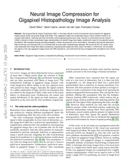 Neural Image Compression for Gigapixel Histopathology Image Analysis