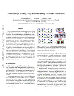 Multiple People Tracking Using Hierarchical Deep Tracklet
  Re-identification