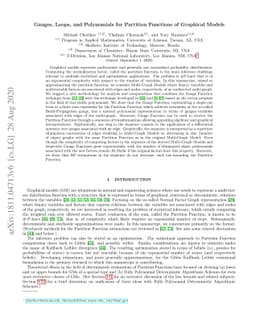 Gauges, Loops, and Polynomials for Partition Functions of Graphical
  Models