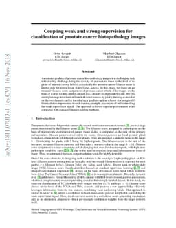 Coupling weak and strong supervision for classification of prostate
  cancer histopathology images