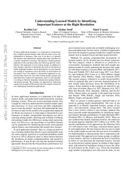 Understanding Learned Models by Identifying Important Features at the
  Right Resolution