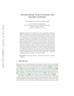 Towards Robust Neural Networks with Lipschitz Continuity