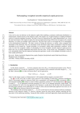 Subsampling (weighted smooth) empirical copula processes