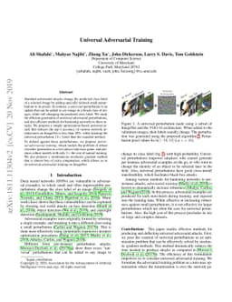 Universal Adversarial Training