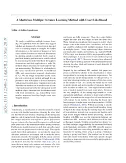A Multiclass Multiple Instance Learning Method with Exact Likelihood