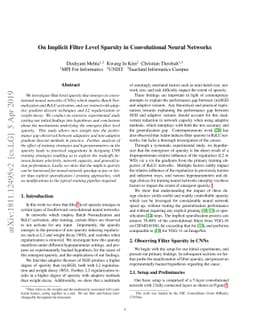 On Implicit Filter Level Sparsity in Convolutional Neural Networks