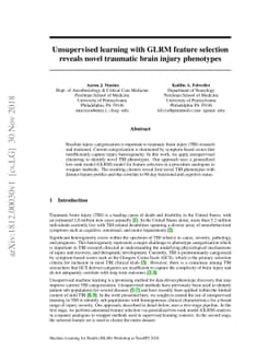Unsupervised learning with GLRM feature selection reveals novel
  traumatic brain injury phenotypes