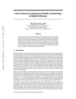 Cluster-Based Learning from Weakly Labeled Bags in Digital Pathology