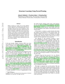 Structure Learning Using Forced Pruning
