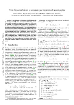 From biological vision to unsupervised hierarchical sparse coding