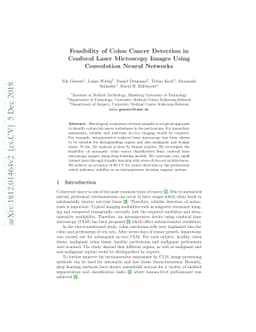 Feasibility of Colon Cancer Detection in Confocal Laser Microscopy
  Images Using Convolution Neural Networks