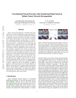 Convolutional Neural Networks with Transformed Input based on Robust
  Tensor Network Decomposition