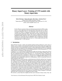 Binary Input Layer: Training of CNN models with binary input data