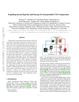 Exploiting Kernel Sparsity and Entropy for Interpretable CNN Compression