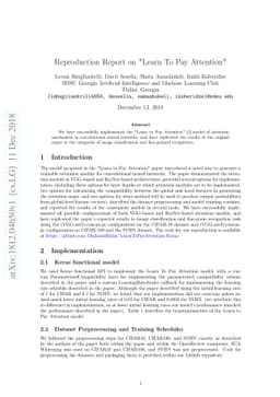 Reproduction Report on "Learn to Pay Attention"