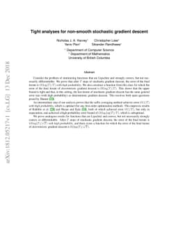 Tight Analyses for Non-Smooth Stochastic Gradient Descent