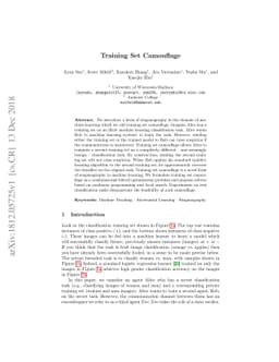 Training Set Camouflage