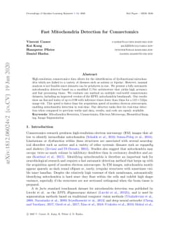 Fast Mitochondria Detection for Connectomics