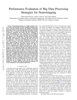 Performance Evaluation of Big Data Processing Strategies for
  Neuroimaging