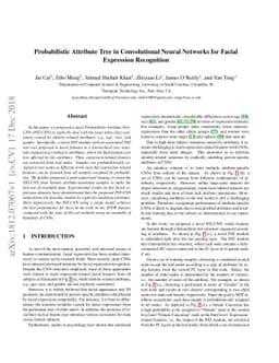 Probabilistic Attribute Tree in Convolutional Neural Networks for Facial
  Expression Recognition