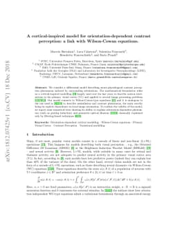 A cortical-inspired model for orientation-dependent contrast perception:
  a link with Wilson-Cowan equations