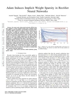 Adam Induces Implicit Weight Sparsity in Rectifier Neural Networks