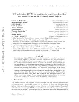 3D multirater RCNN for multimodal multiclass detection and
  characterisation of extremely small objects