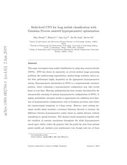 Multi-level CNN for lung nodule classification with Gaussian Process
  assisted hyperparameter optimization