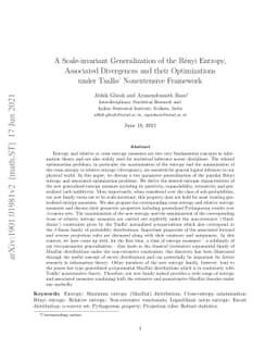 A Scale-invariant Generalization of the Rényi Entropy, Associated
  Divergences and their Optimizations under Tsallis' Nonextensive Framework