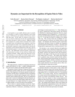 Dynamics are Important for the Recognition of Equine Pain in Video