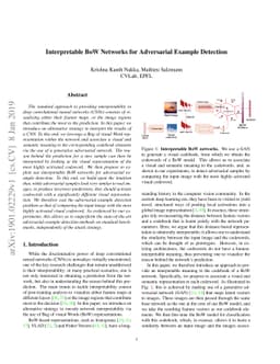 Interpretable BoW Networks for Adversarial Example Detection