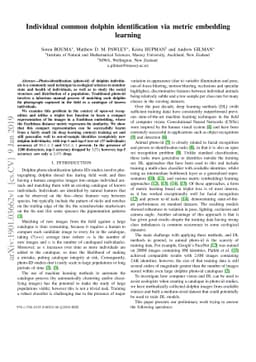 Individual common dolphin identification via metric embedding learning