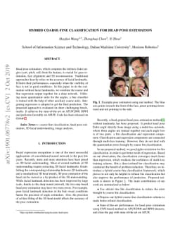 Hybrid coarse-fine classification for head pose estimation