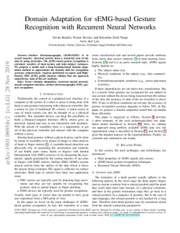 Domain Adaptation for sEMG-based Gesture Recognition with Recurrent
  Neural Networks
