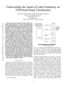 Understanding the Impact of Label Granularity on CNN-based Image
  Classification