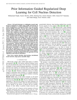 Prior Information Guided Regularized Deep Learning for Cell Nucleus
  Detection