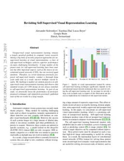 Revisiting Self-Supervised Visual Representation Learning