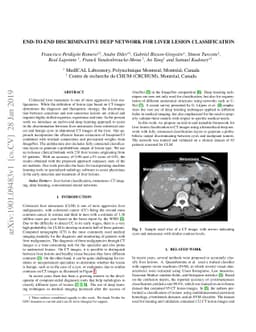End-to-End Discriminative Deep Network for Liver Lesion Classification